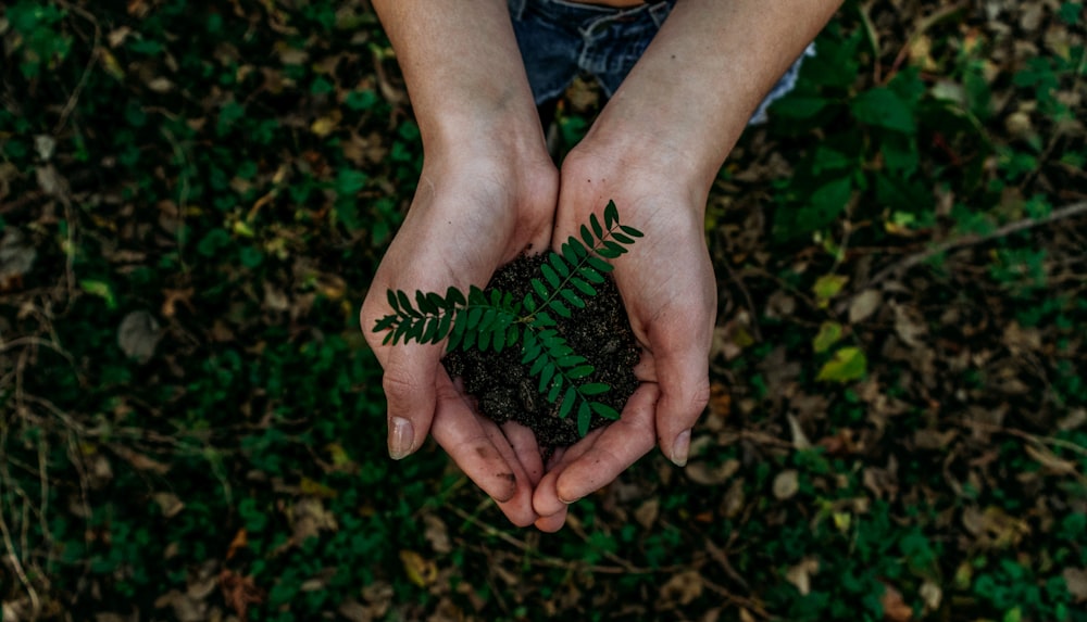 ISO 14001 Çevre Yönetim Sistemi İç Tetkikçi Eğitimi