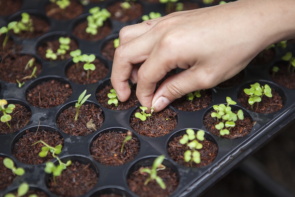 ISO 14067 Ürün Karbon Ayak İzi Eğitimi